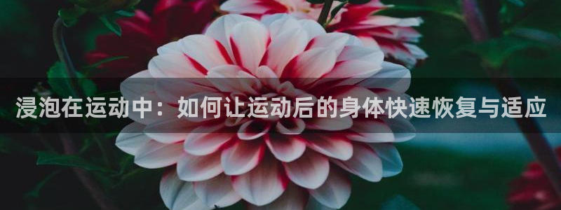 中欧体育登录
