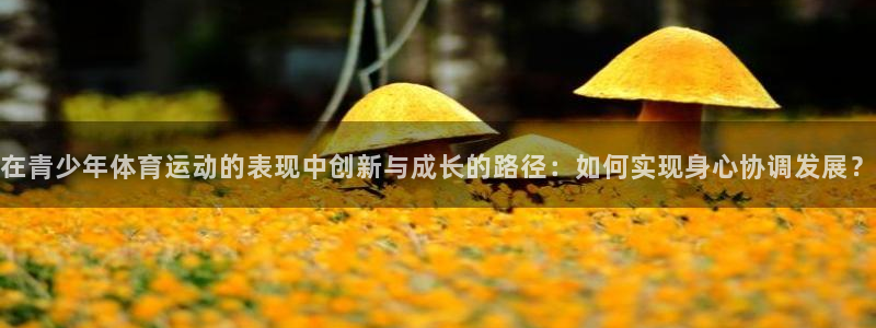 中欧体育集团