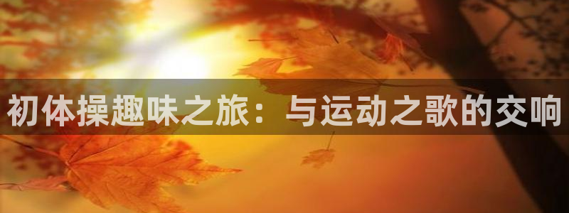 中欧体育网页版