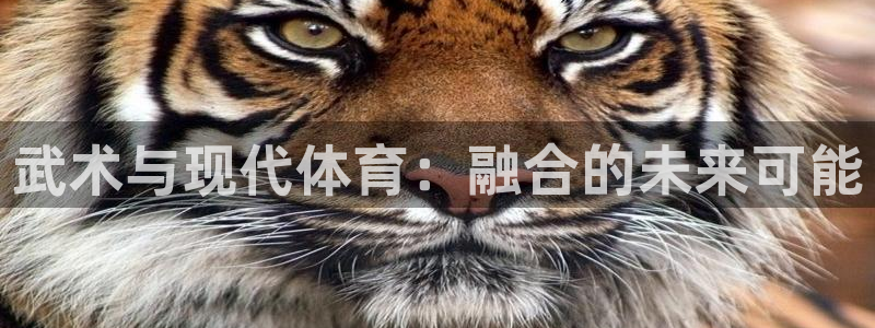 zoty中欧体育网址多少