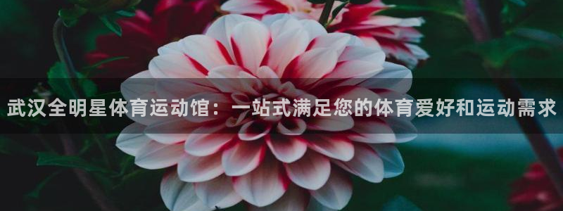 kok中欧体育