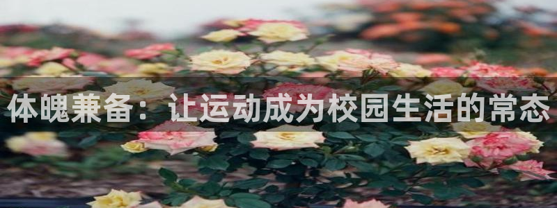 中欧体育网站