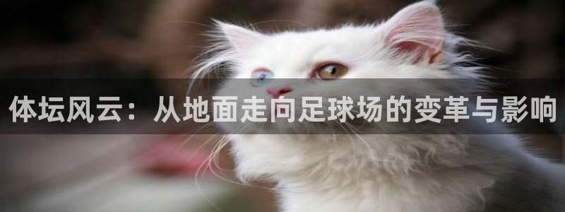 zoty中欧体育网址多少
