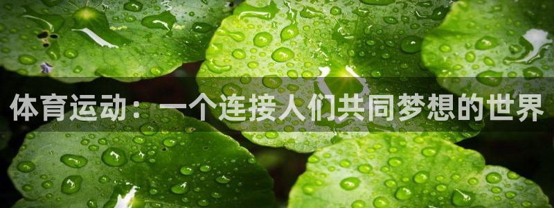 中欧体育官网