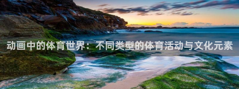 中欧体育在线